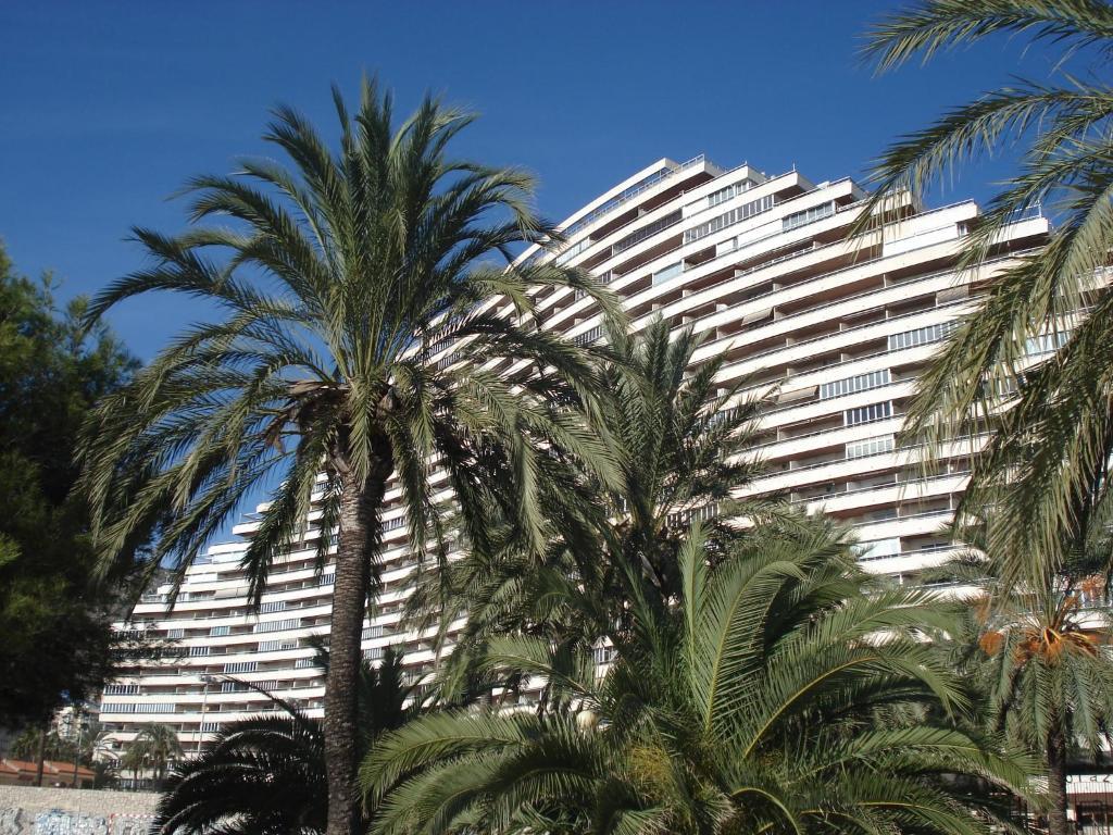 Apartamentos Florazar II Ajhory Cullera Buitenkant foto